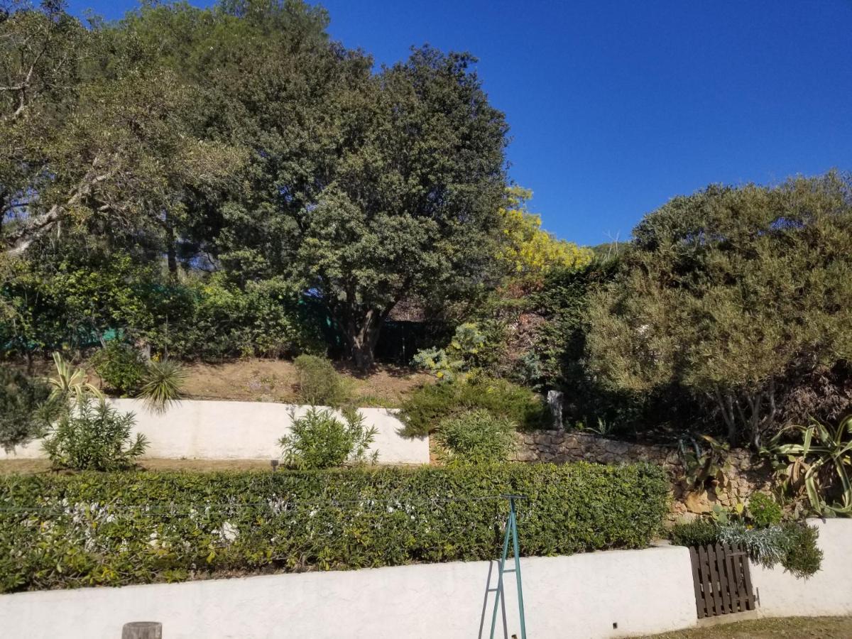 Villa La Louviere La Croix Valmer Golfe De Saint Tropez Buitenkant foto
